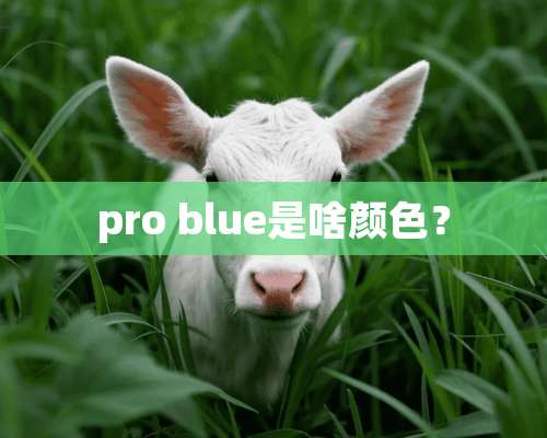 pro blue是啥颜色？