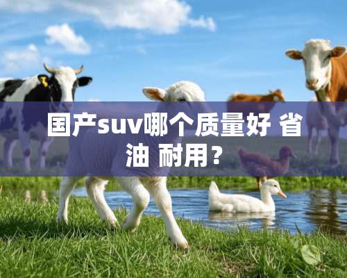 国产suv哪个质量好 省油 耐用？