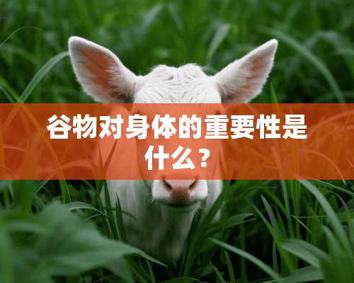 谷物对身体的重要性是什么？