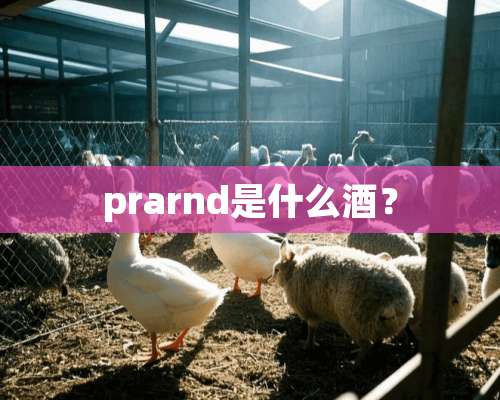 prarnd是什么酒？