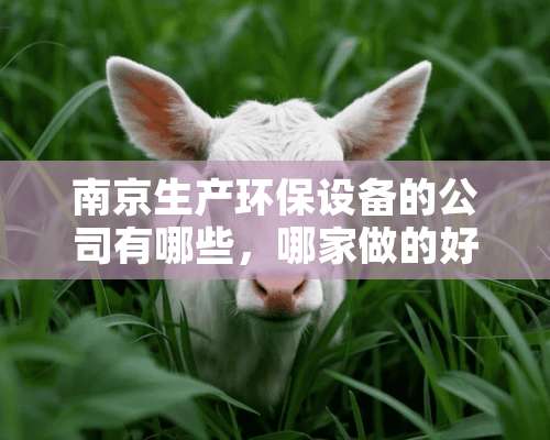 南京生产环保设备的公司有哪些，哪家做的好？