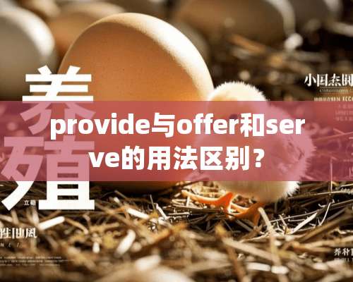 provide与offer和serve的用法区别？