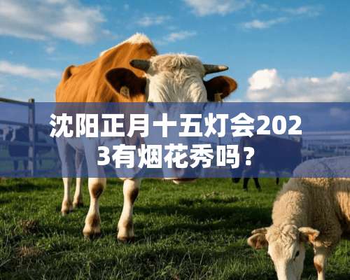 沈阳正月十五灯会2023有烟花秀吗？