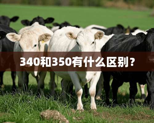 340和350有什么区别？