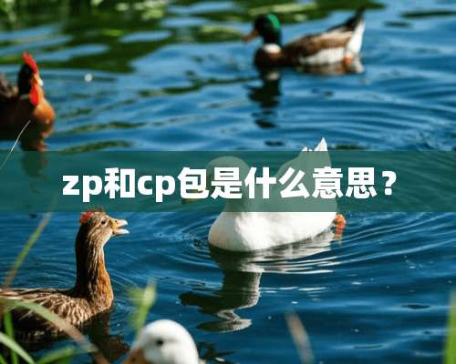 zp和cp包是什么意思？