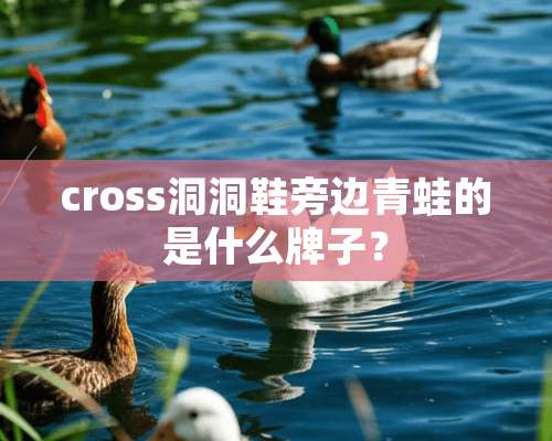 cross洞洞鞋旁边青蛙的是什么牌子？