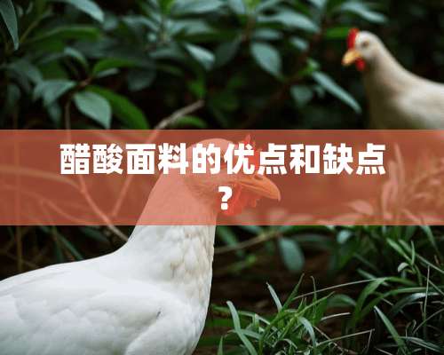 醋酸面料的优点和缺点？