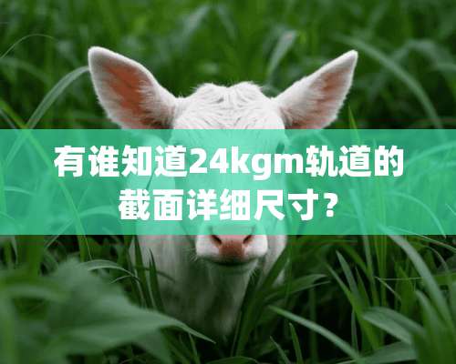 有谁知道24kgm轨道的截面详细尺寸？