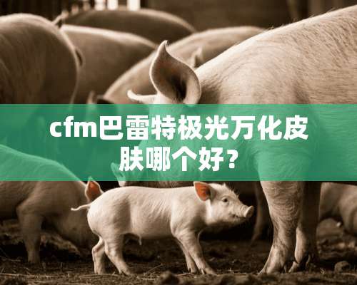 cfm***极光万化皮肤哪个好？