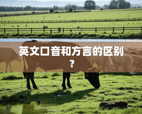 英文口音和方言的区别？