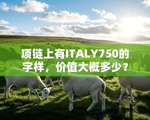 项链上有ITALY750的字样，价值大概多少？