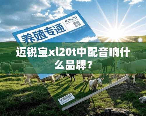 迈锐宝xl20t中配音响什么品牌？