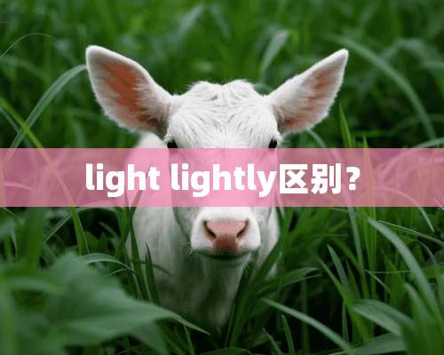 light lightly区别？