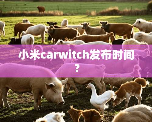 小米carwitch发布时间？