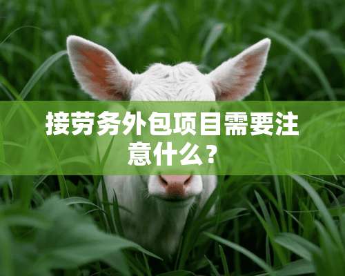 接劳务外包项目需要注意什么？