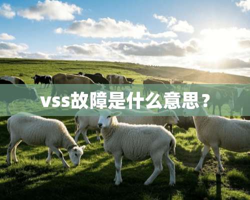 vss故障是什么意思？