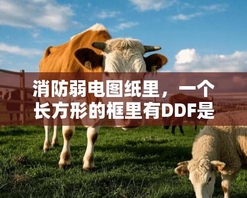 消防弱电图纸里，一个长方形的框里有DDF是什么？