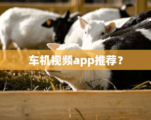 车机视频app推荐？