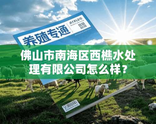 佛山市南海区西樵水处理有限公司怎么样？