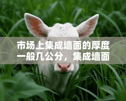 市场上集成墙面的厚度一般几公分，集成墙面最好的厚度应该保持在多少左右