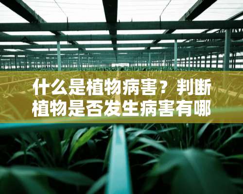 什么是植物病害？判断植物是否发生病害有哪两个标准