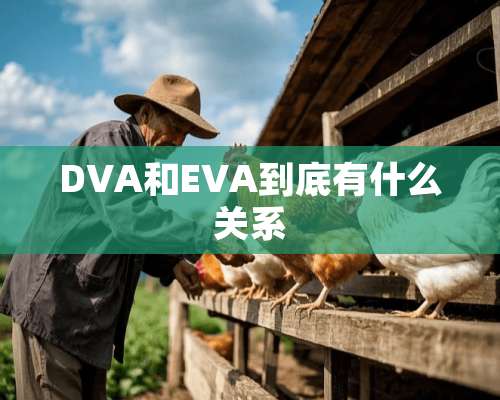 DVA和EVA到底有什么关系