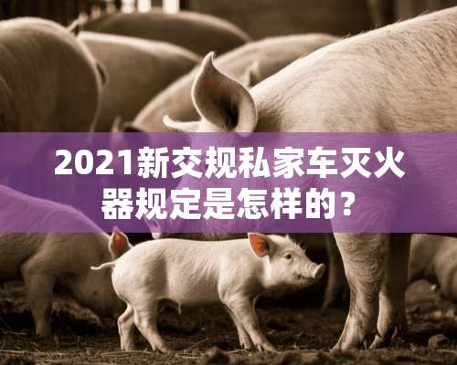 2021新交规私家车灭火器规定是怎样的？