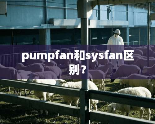 pumpfan和sysfan区别？