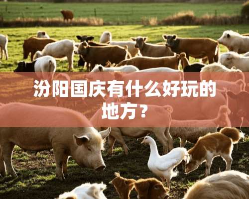 汾阳国庆有什么好玩的地方？