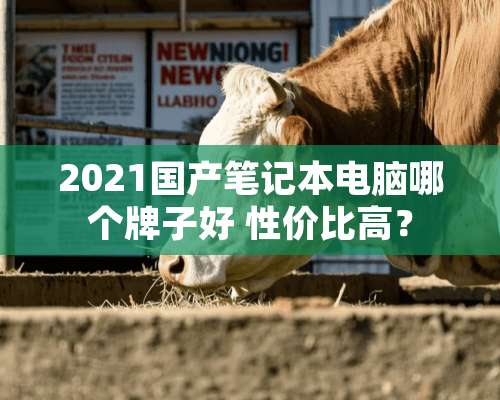 2021国产笔记本电脑哪个牌子好 性价比高？