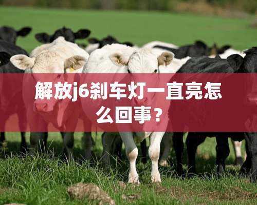 解放j6刹车灯一直亮怎么回事？