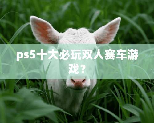 ps5十大必玩双人赛车游戏？