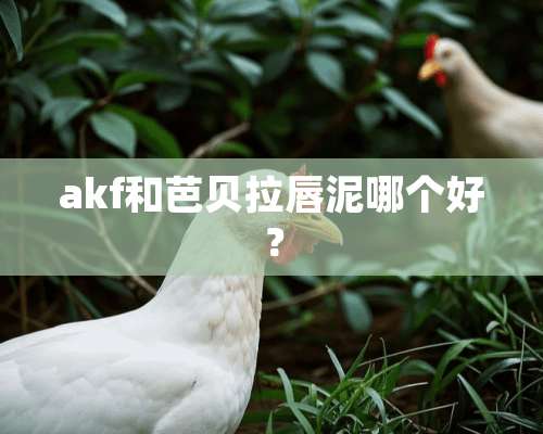 akf和芭贝拉唇泥哪个好？