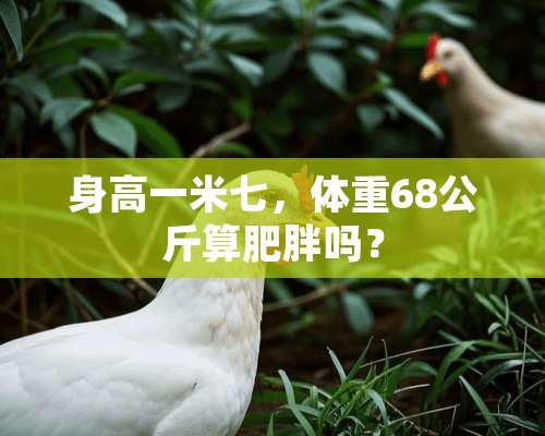 身高一米七，体重68公斤算肥胖吗？