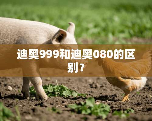 迪奥999和迪奥080的区别？