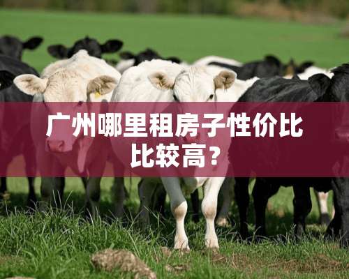 广州哪里租房子性价比比较高？