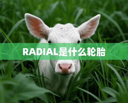 RADIAL是什么轮胎