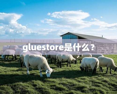 gluestore是什么？