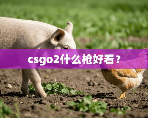 csgo2什么*好看？