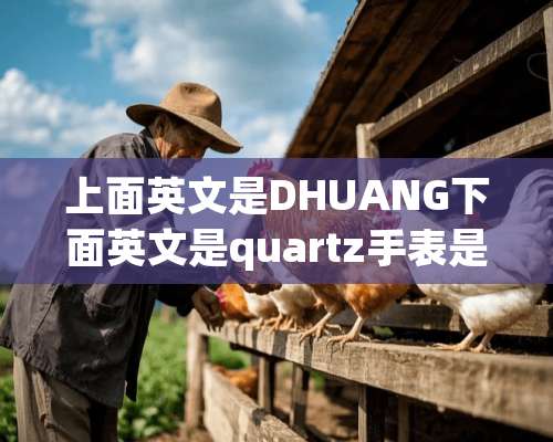 上面英文是DHUANG下面英文是quartz手表是什么牌子