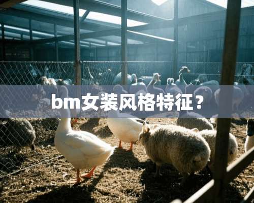 bm女装风格特征？