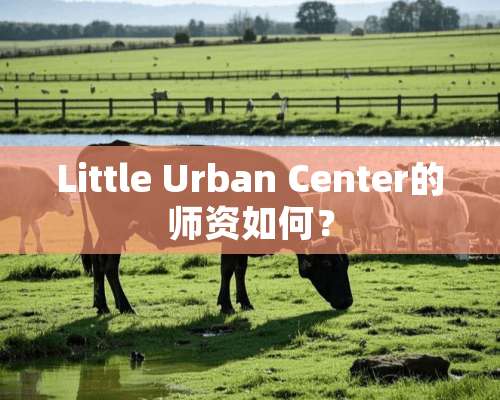 Little Urban Center的师资如何？