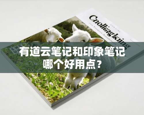 有道云笔记和印象笔记哪个好用点？