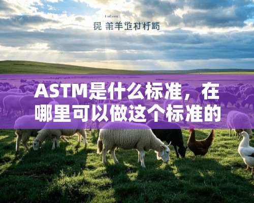 ASTM是什么标准，在哪里可以做这个标准的检测？