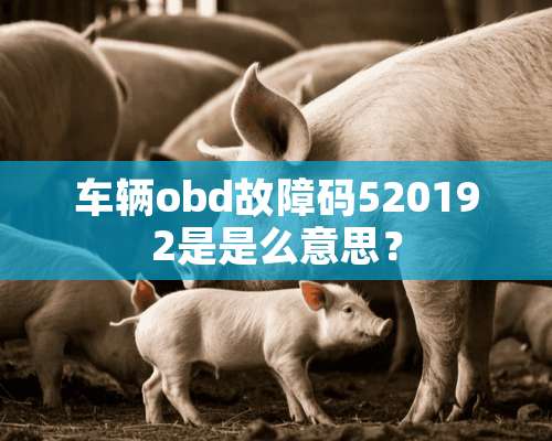 车辆obd故障码520192是是么意思？