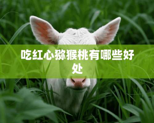 吃红心猕猴桃有哪些好处