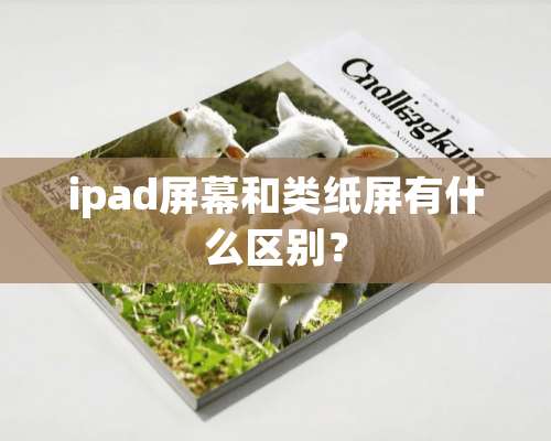 ipad屏幕和类纸屏有什么区别？