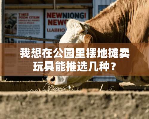 我想在公园里摆地摊卖玩具能推选几种？