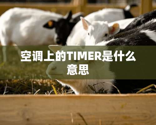 空调上的TIMER是什么意思