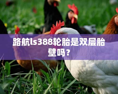 路航ls388轮胎是双层胎壁吗？